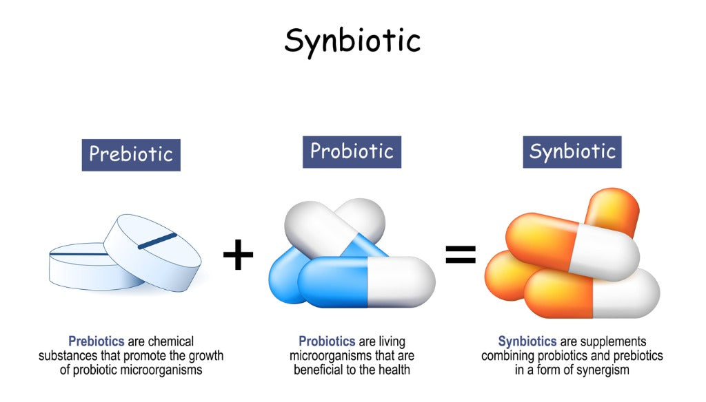 Wellness Essential: The Synbiotic Duo of Probiotics and Prebiotics | Trio Nutrition