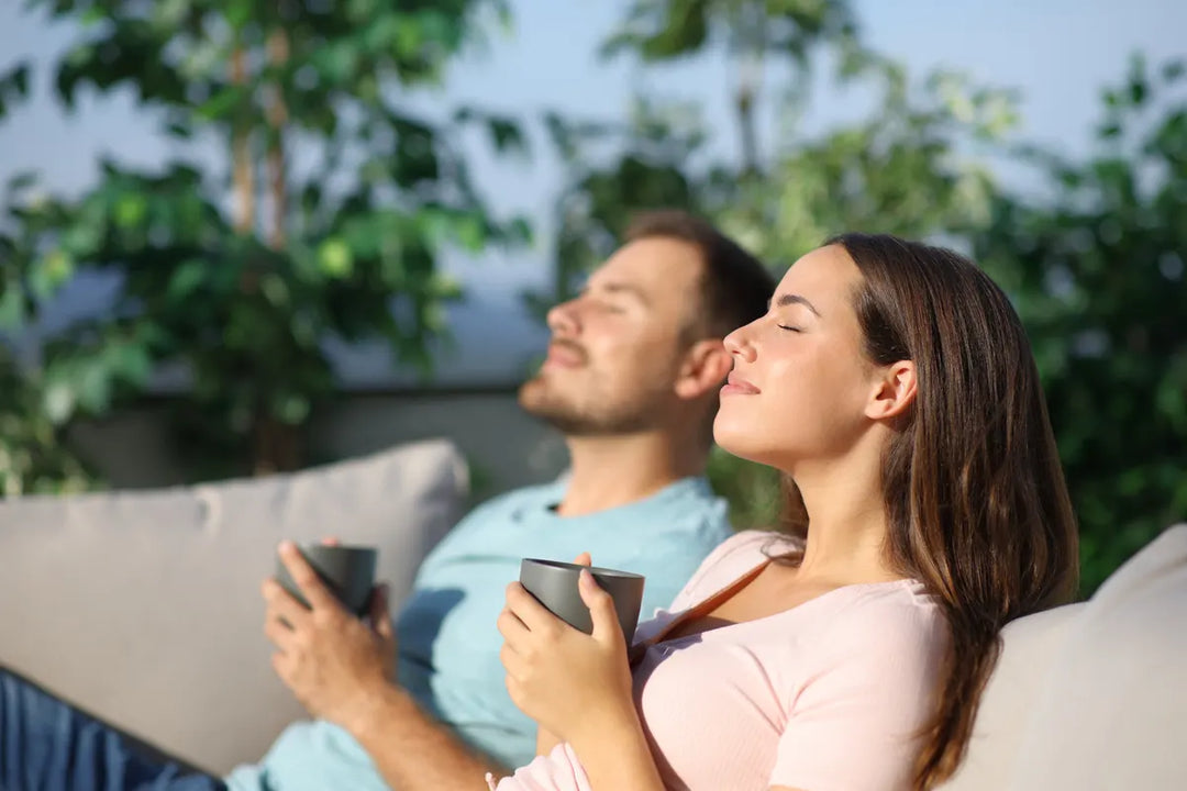 Top 4 Science-Backed Kombucha Benefits You Want to Know | Trio Nutrition