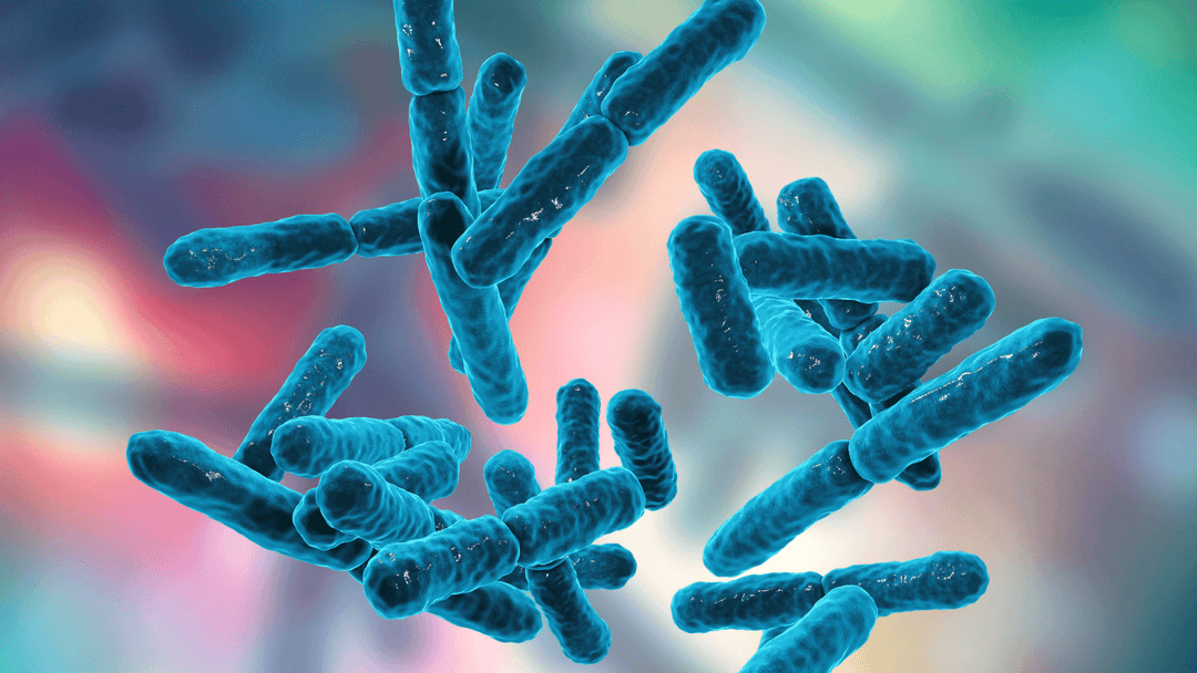 What Are Prebiotics and Probiotics? | Trio Nutrition