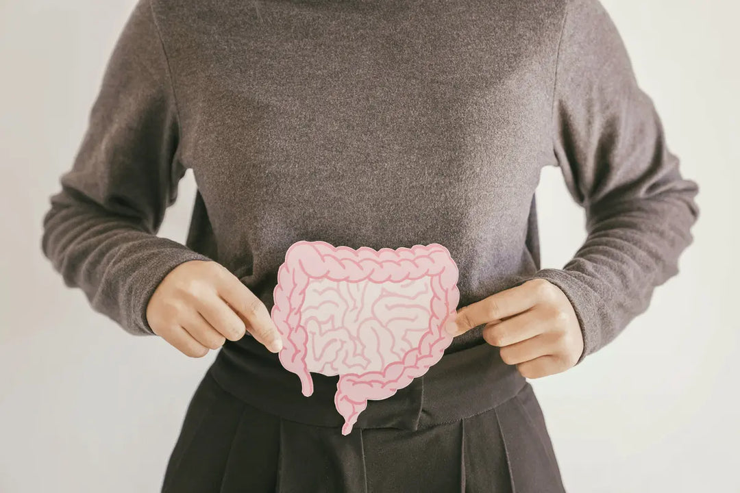 How People Benefit from Using Probiotics for Constipation Relief