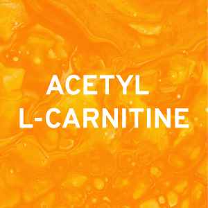 The Benefits of Combining Acetyl-L-Carnitine (ALC) and Apple Cider Vinegar (ACV) | Trio Nutrition