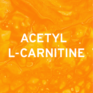 Acetyl-L-Carnitine and Apple Cider Vinegar: Benefits?