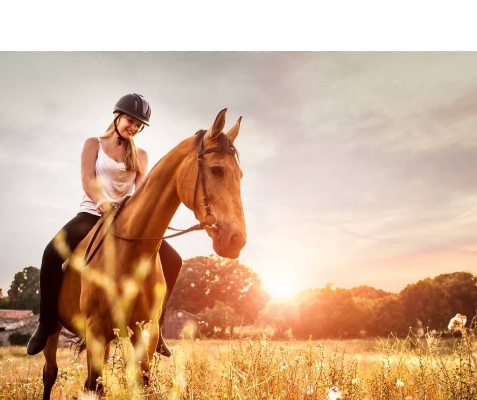 Housework, Hiking or Horseback Riding - Which burns more calories per hour?  What about how many Calories are in 1 Gram of Alcohol? | Trio Nutrition