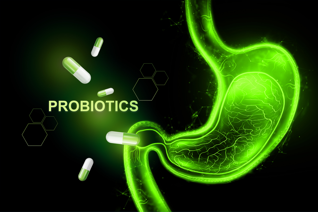 Unlocking Optimal Gut & Immune Health with a Probiotic Supplement | Trio Nutrition