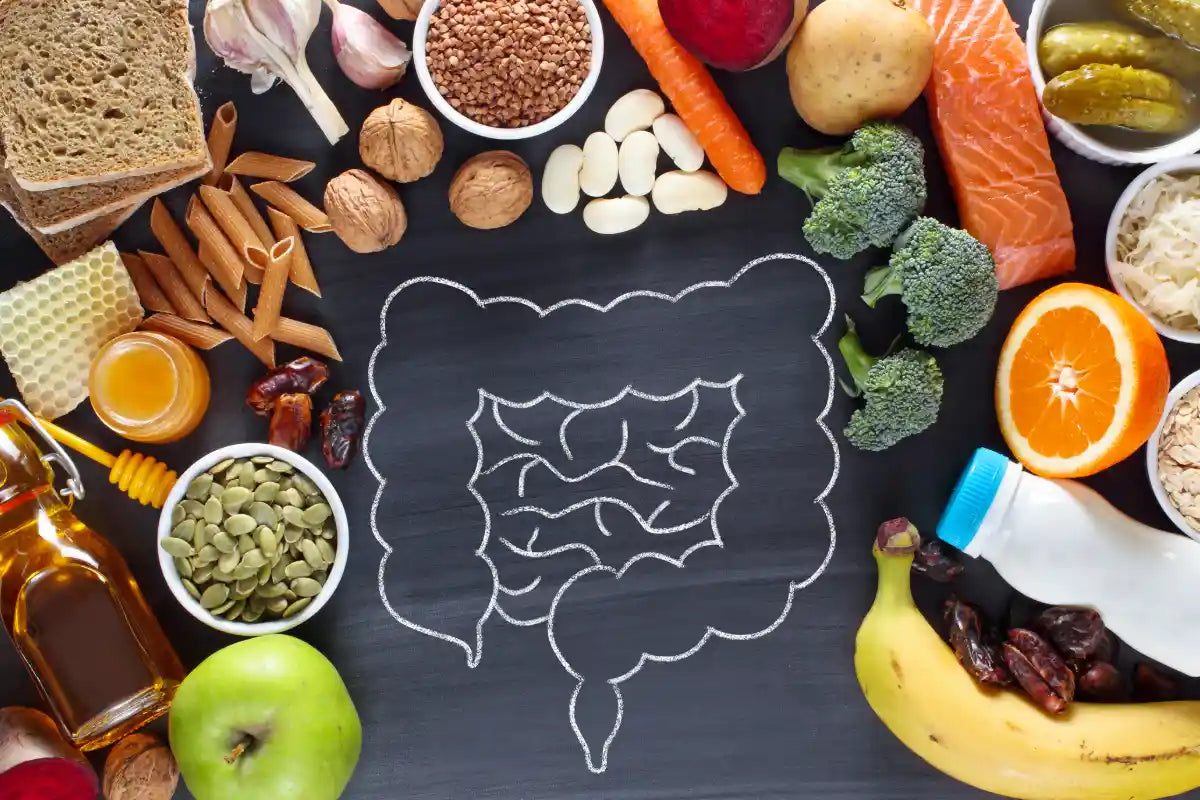 illustration of the colon with different kinds of foods around it like orange, broccoli, pasta, honey, salmon, wheat bread, pickles, walnuts, etc.