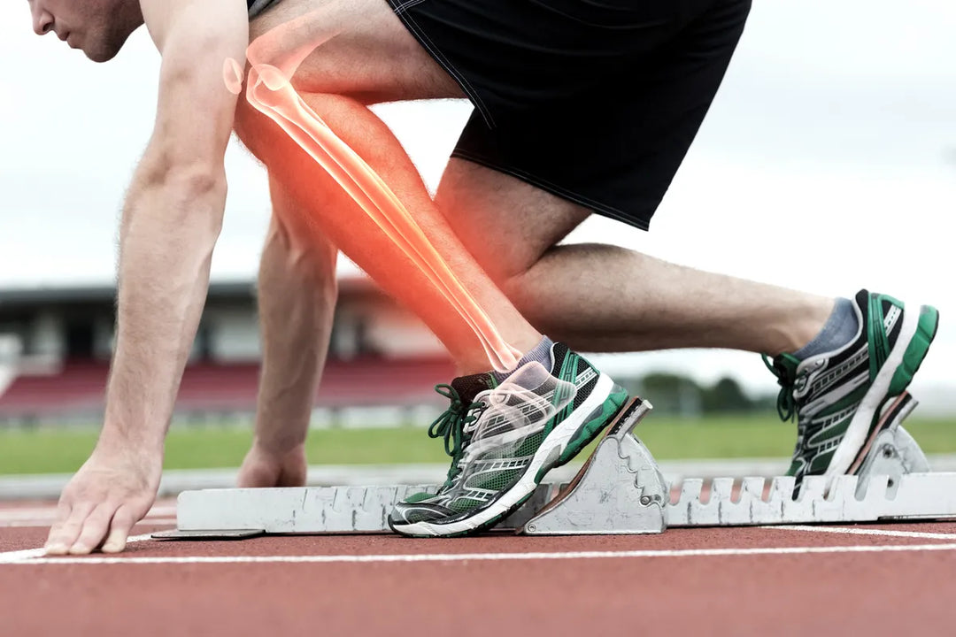 7 Joint Health Essentials: How to Protect, Maintain, and Support Your Joints