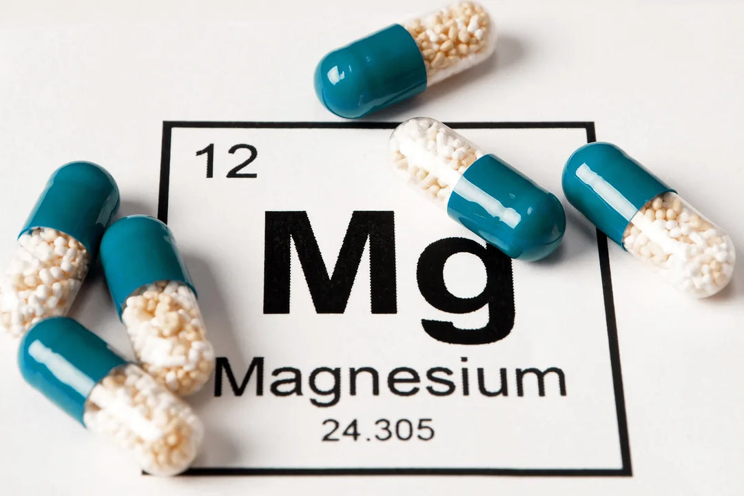 High Absorption Magnesium: How Do Forms Compare?
