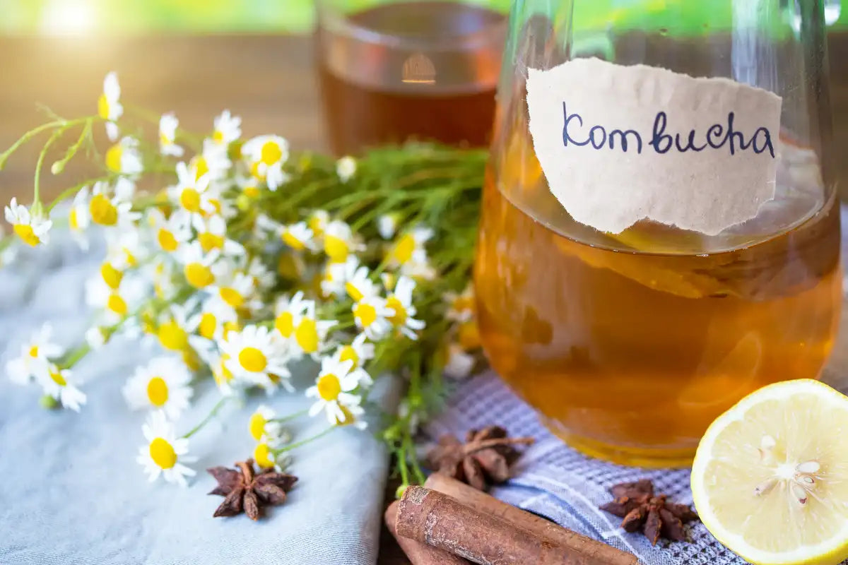 pitcher of kombucha for gut health