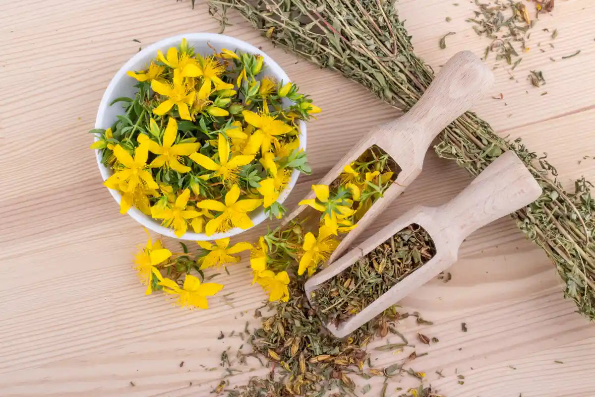 st. john's wort flowers on a bowl