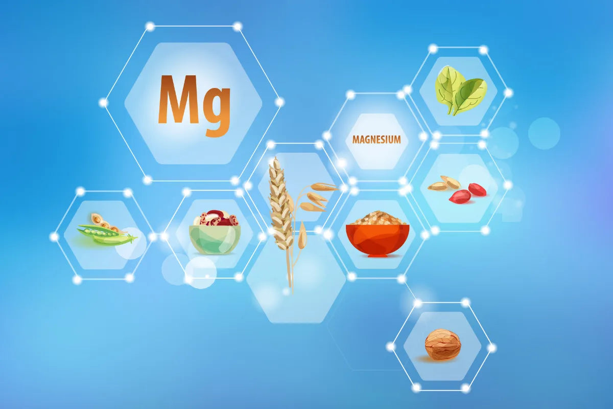 illustration of magnesium and its food sources like beans, grains, nuts, leafy vegetable, etc.