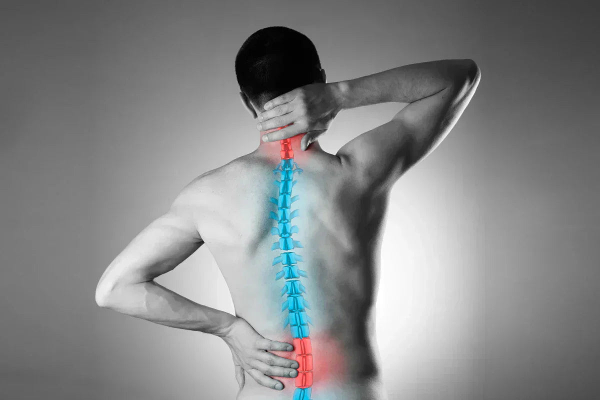 back of a man with an illustration of a spine, his hands holding is waist and nape