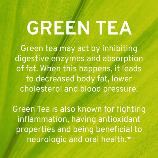 Detox & Cleanse - Organic Green Tea and Apple Cider Vinegar Pills by Trio Nutrition
