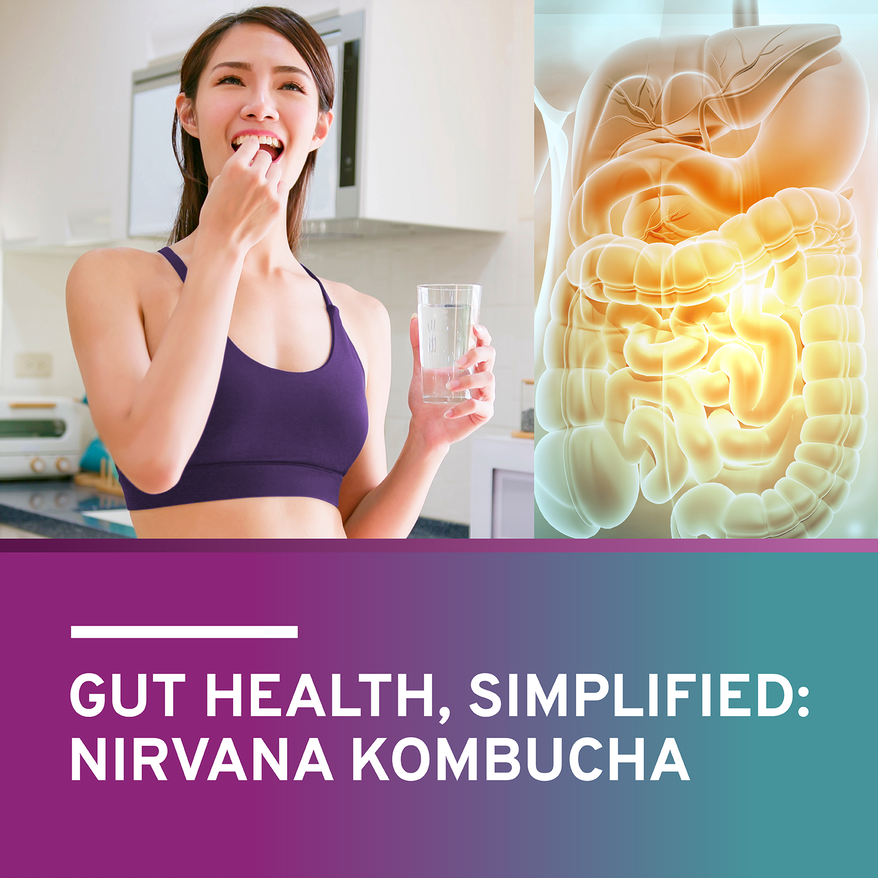 Trio Nutrition Nirvana Kombucha | Total Probiotic Digestive Health