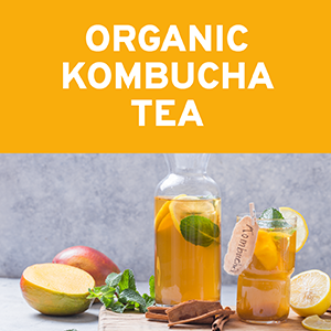 Trio Nutrition Nirvana Kombucha | Billions Multi-Strain Probiotics, Prebiotic & Organic Kombucha Tea Capsules